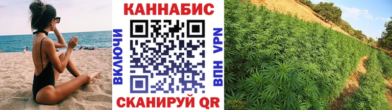 Канабис планчик Заволжск